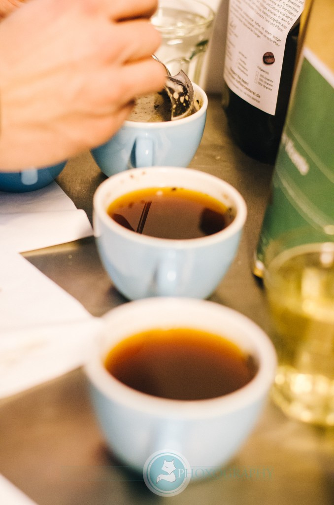 (c) Martin Phox http://phoxography.net