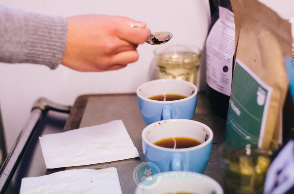 (c) Martin Phox http://phoxography.net