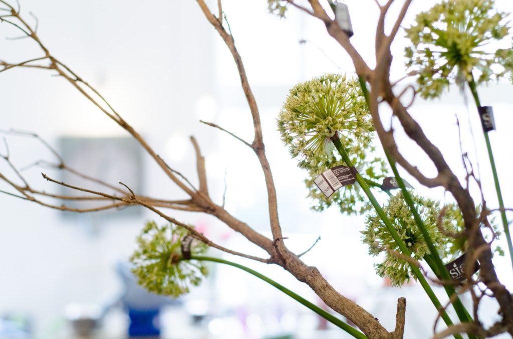 (c) Martin Phox http://phoxography.net