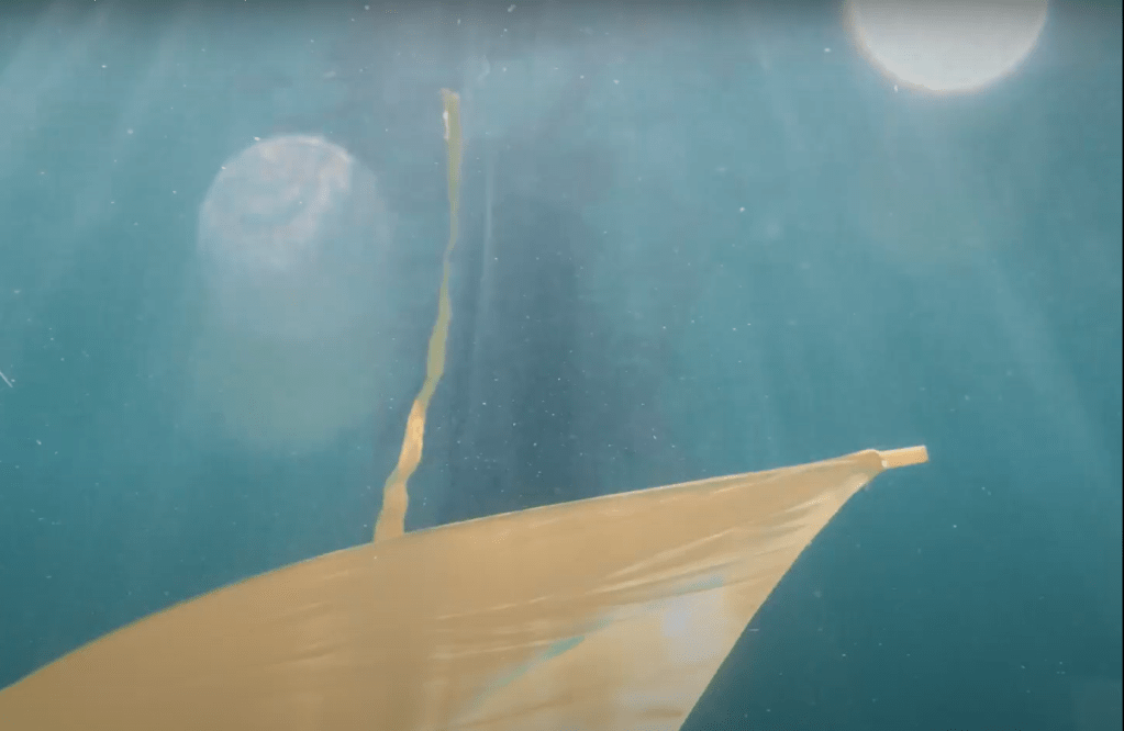 Get a dive on! Making VIVIN’s absurdist new music video „Chromatics“